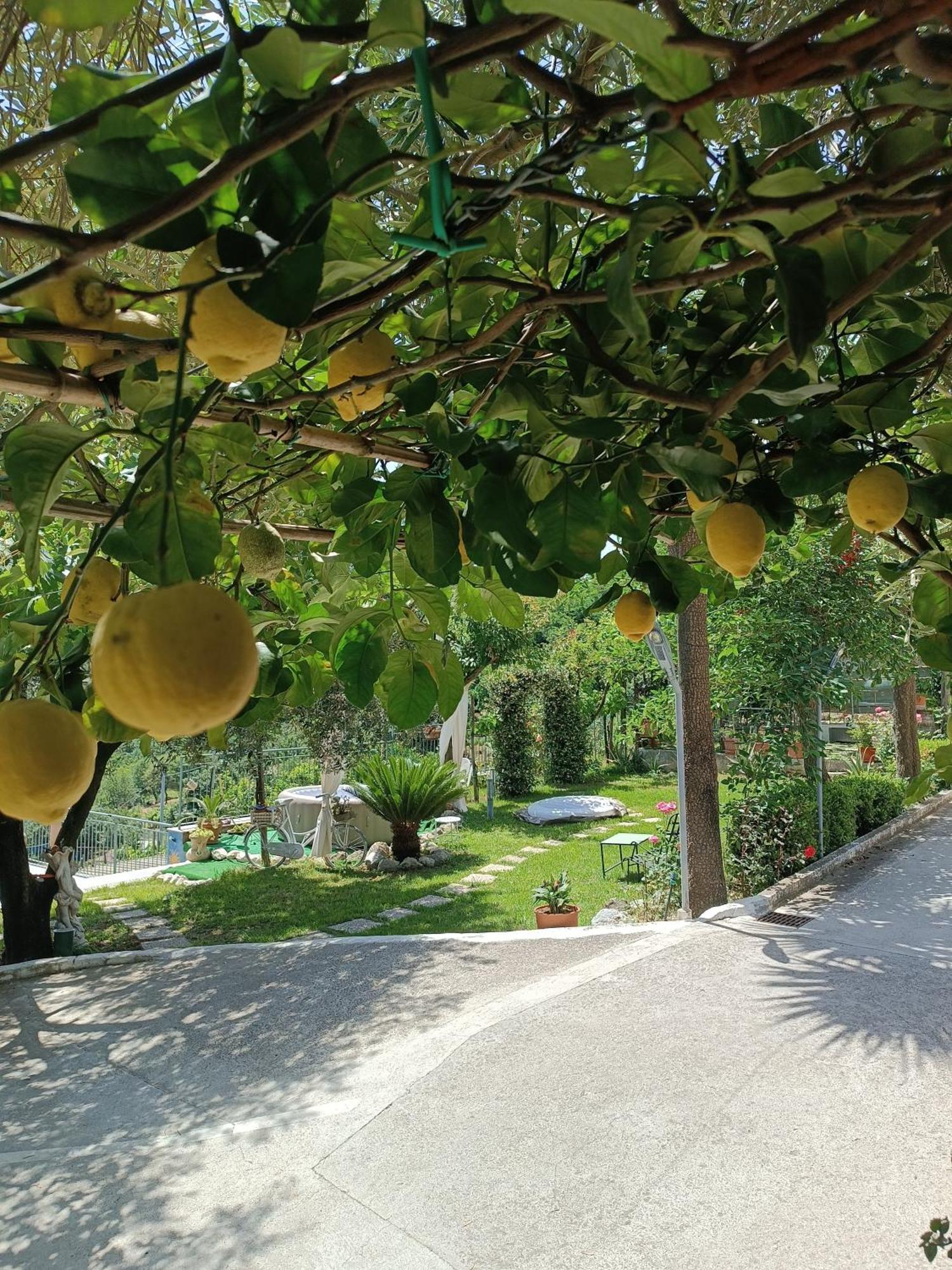 La Roccia Incantata Amalfi Coast Bed and Breakfast Vietri Buitenkant foto