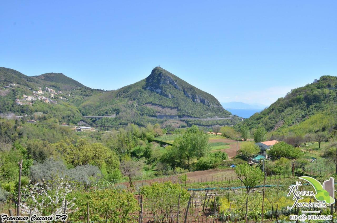 La Roccia Incantata Amalfi Coast Bed and Breakfast Vietri Buitenkant foto